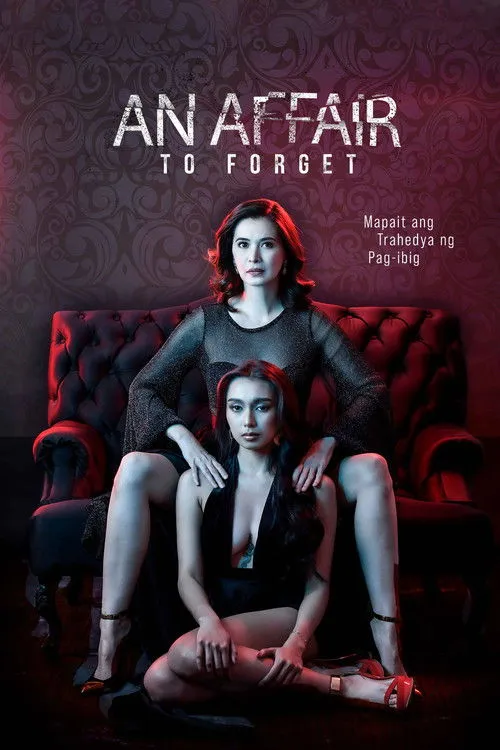 Póster de An Affair to Forget