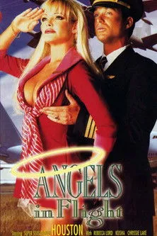 Póster de Angels in Flight