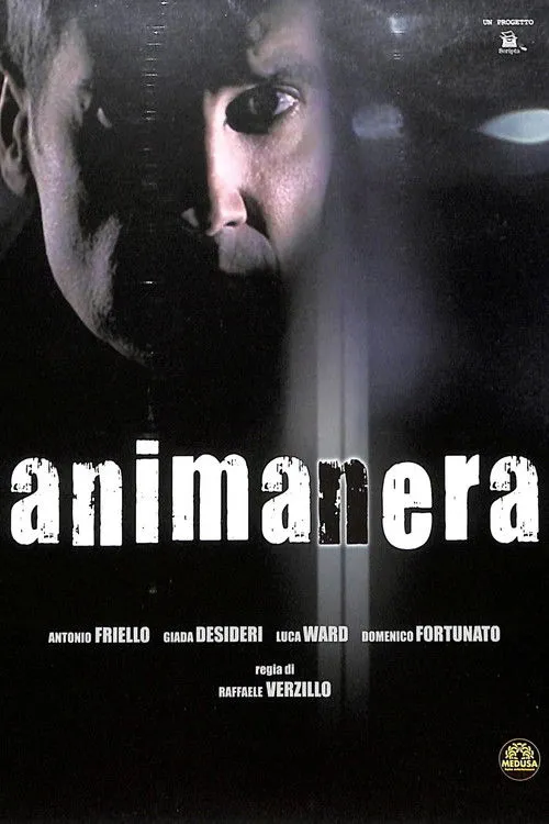 Póster de Animanera