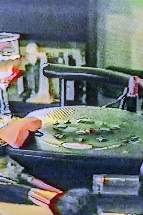 Póster de la película Answering Machine