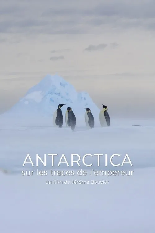 Póster de Antarctica, sur les traces de l'empereur
