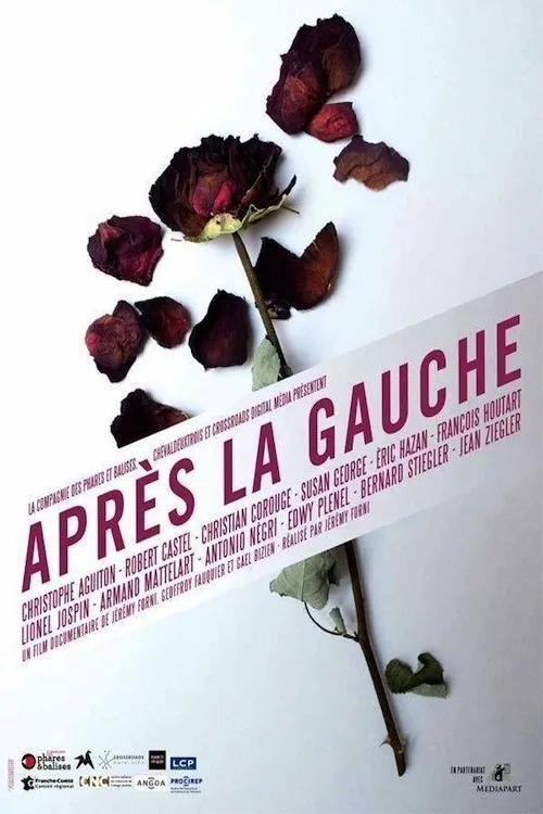 Póster de Après la gauche