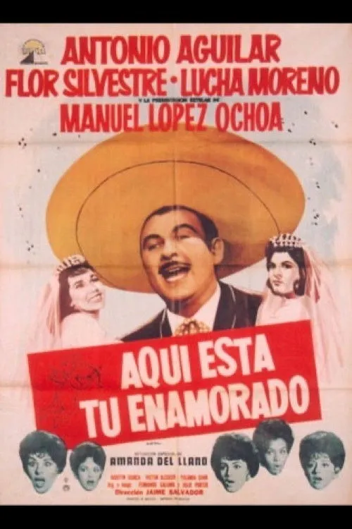 Póster de la película Aquí está tu enamorado