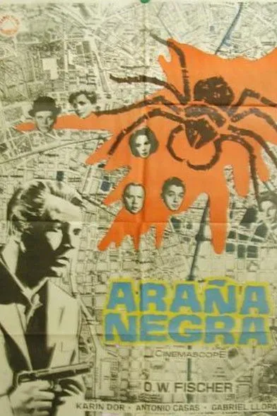 Portada de Araña negra