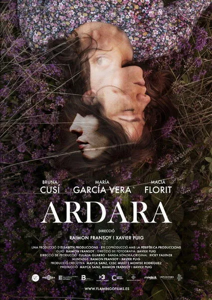 Póster de Ardara