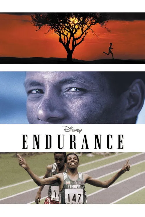 Póster de Endurance