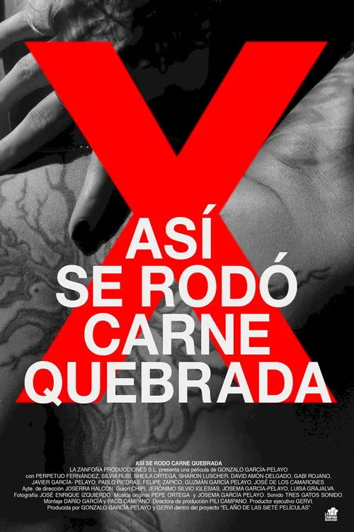 Póster de Así se rodó Carne quebrada