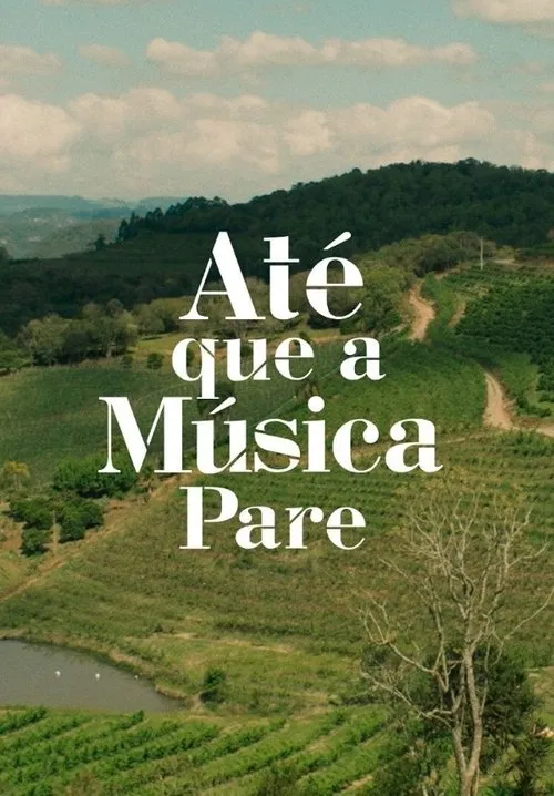 Póster de Até Que a Música Pare