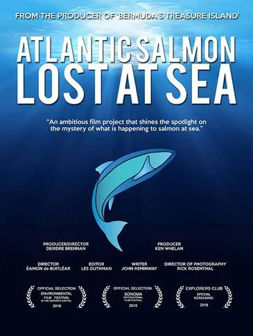 Póster de la película Atlantic Salmon: Lost at Sea