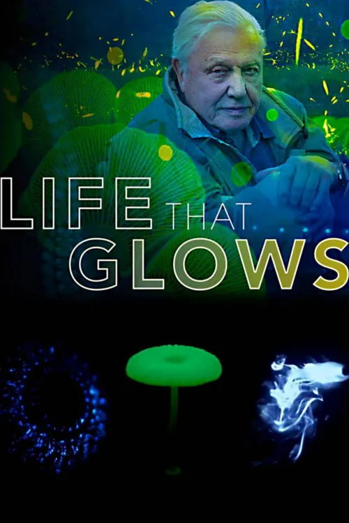 Póster de Attenborough's Life That Glows