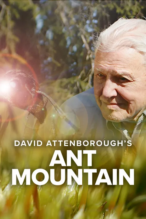 Póster de la película Attenborough y la montaña de las hormigas