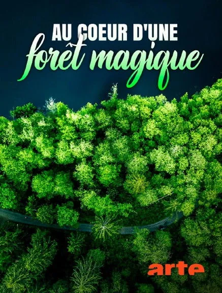 Patrick Mullownay interpreta a Narrator en Au cœur d'une forêt magique