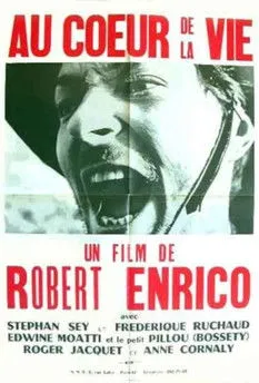 Stéphane Fey interpreta a Union Officer en Au cœur de la vie