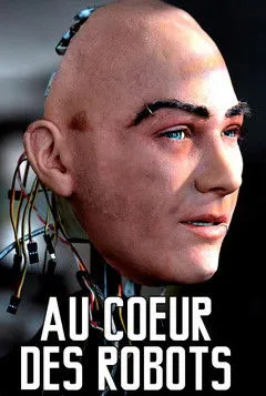 Póster de Au cœur des robots