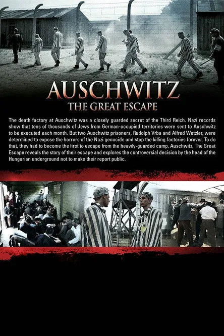 Póster de la película Auschwitz: The Great Escape