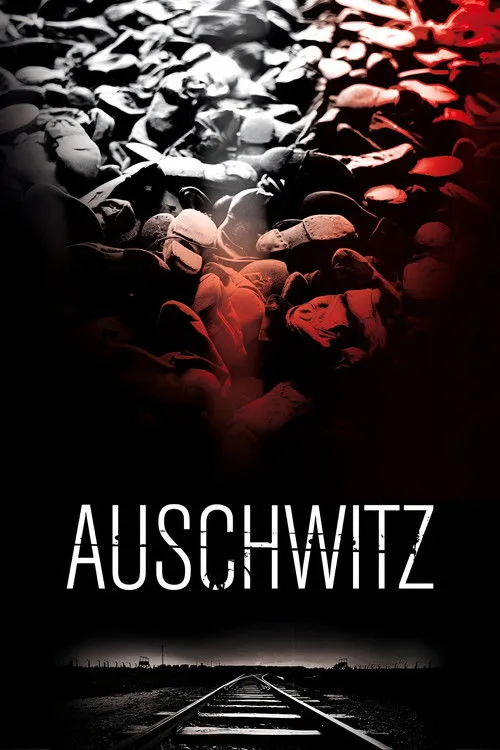 Póster de Auschwitz