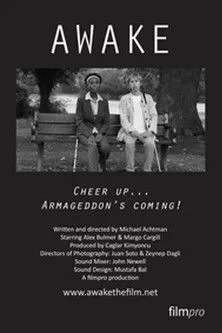Póster de Awake