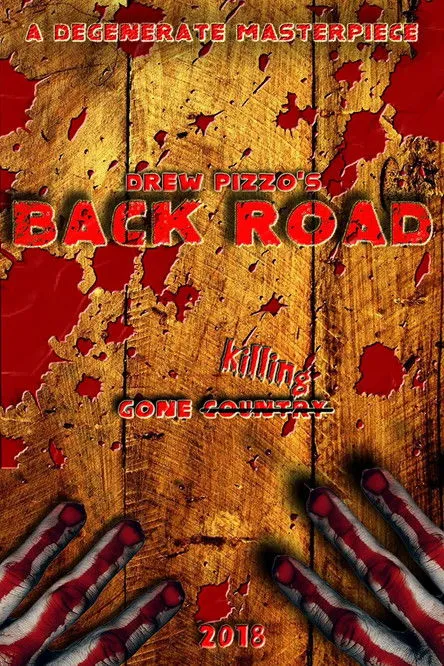 Póster de Back Road