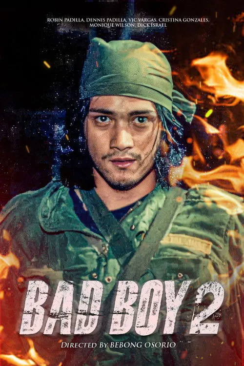 Póster de la película Bad Boy II