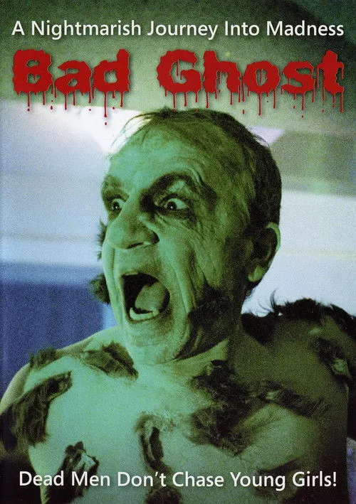 Póster de Bad Ghost
