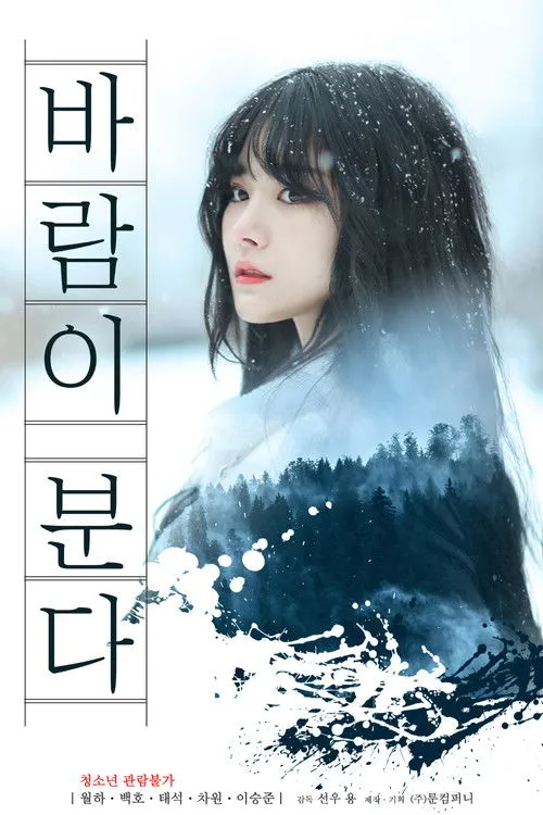 Póster de 바람이 분다