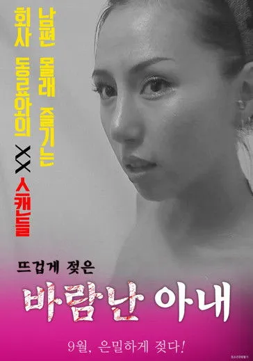 Póster de 바람난 아내