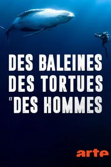 Portada de Ballenas, tortugas y hombres