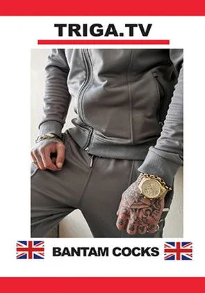 Póster de Bantam Cocks