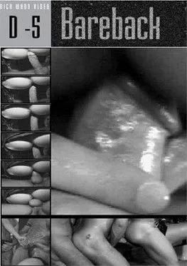 Póster de Bareback 1