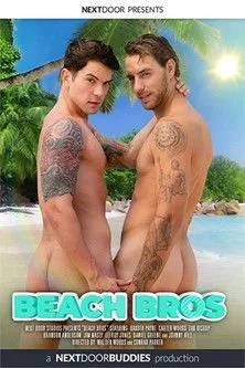 Póster de Beach Bros