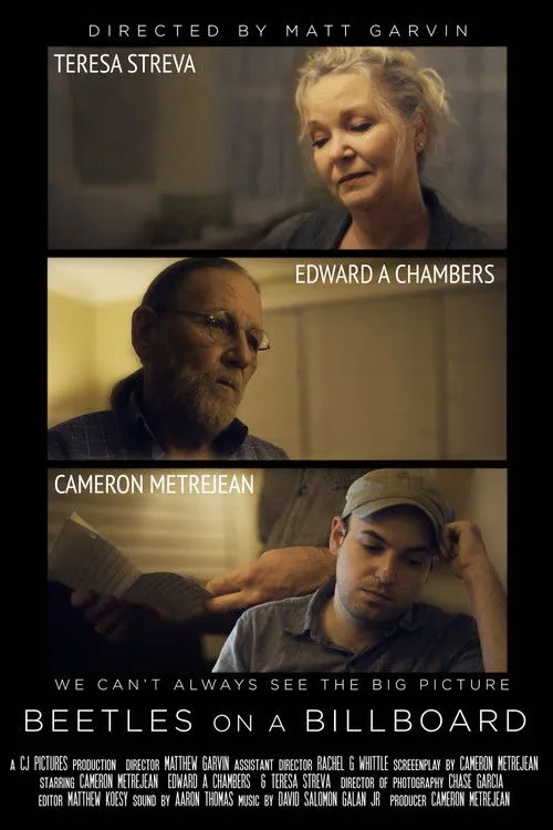 Portada de Beetles on a Billboard