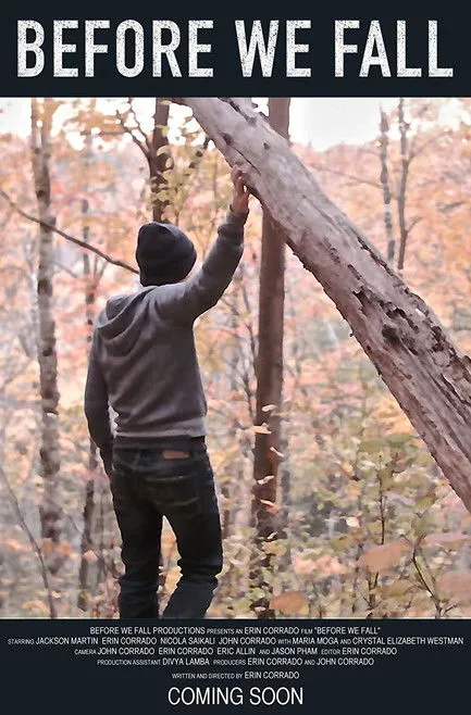 Póster de Before We Fall