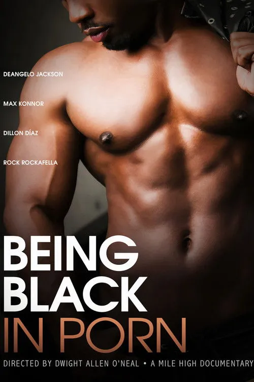 Póster de Being Black in Porn