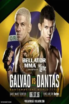 Chris Honeycutt interpreta a  en Bellator 156:  Galvao vs. Dantas 2