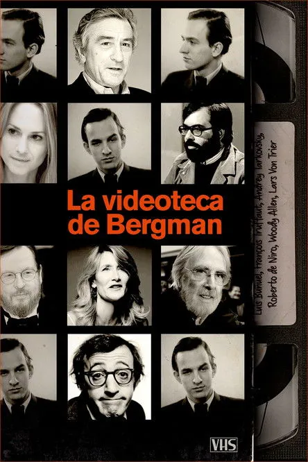 Póster de Bergmans video
