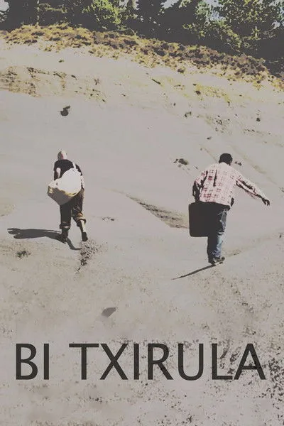 Póster de Bi txirula