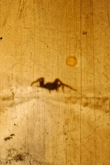 Póster de la película Bielefeld Lichtwerk