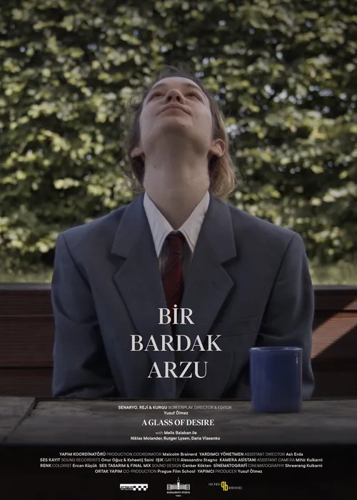 Póster de la película Bir Bardak Arzu