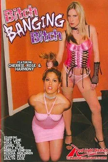 Póster de Bitch Banging Bitch