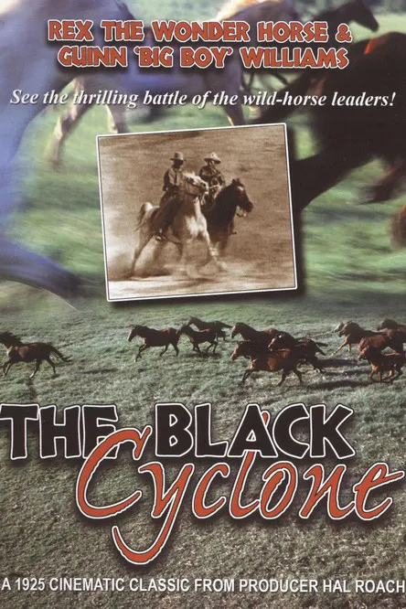 Lady the Horse interpreta a Lady en Black Cyclone