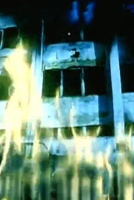 Póster de la película Black Kites