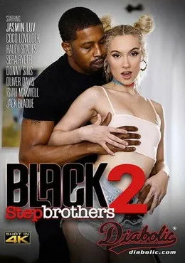Póster de Black Stepbrothers 2