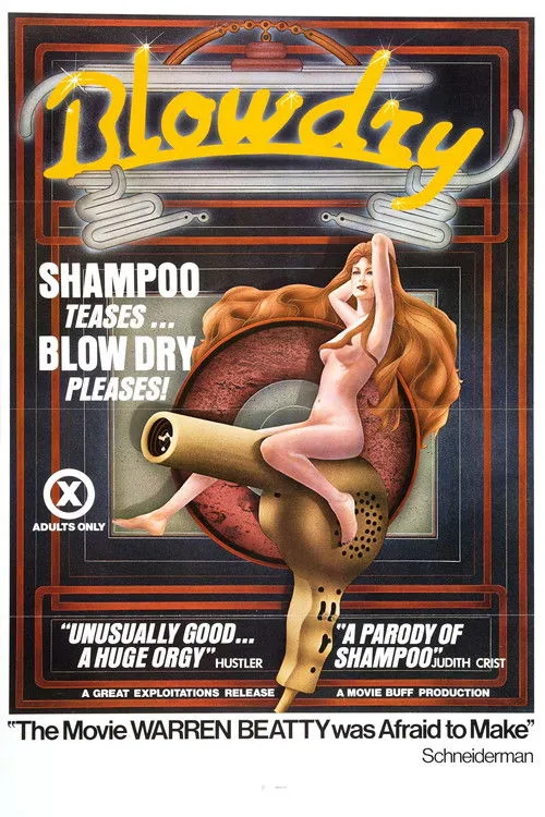 Póster de la película Blow Dry