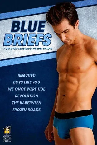 Póster de Blue Briefs