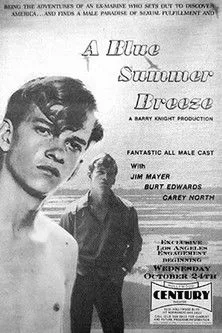 Póster de la película Blue Summer Breeze