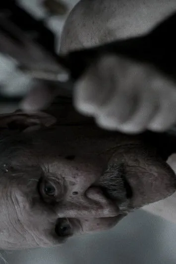 Dejan Knez interpreta a Himself en Bluz črnih revirjev