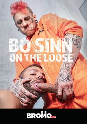 Póster de la película Bo Sinn: On the Loose