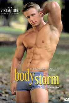 Póster de Body Storm