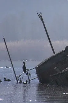 Póster de Боите на Преспа: Птици