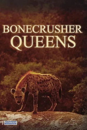 Portada de Bonecrusher Queens